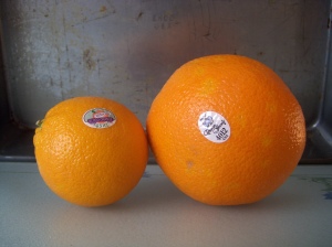 The normal orange, and the blood orange. Just a tiny size difference.